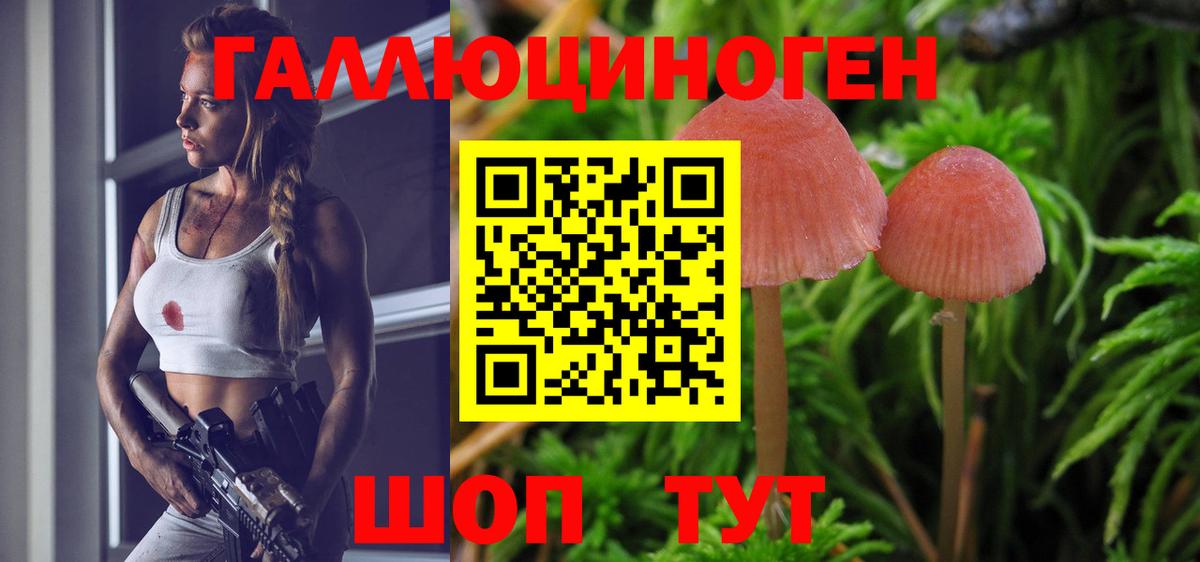 Псилоцибиновые грибы мицелий  Вход с VPN  Ухта 